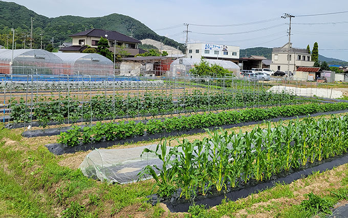 食事業イメージ③